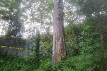 Bandar Baru Selayang