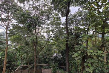 The Mansions @ Parkcity Heights