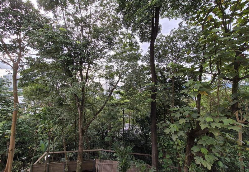 The Mansions @ Parkcity Heights