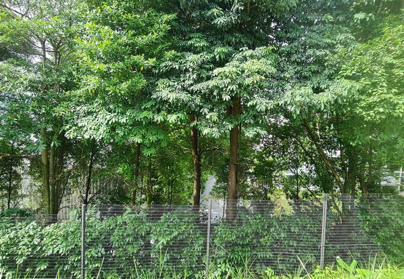 Desa ParkCity (The Ridgewood)