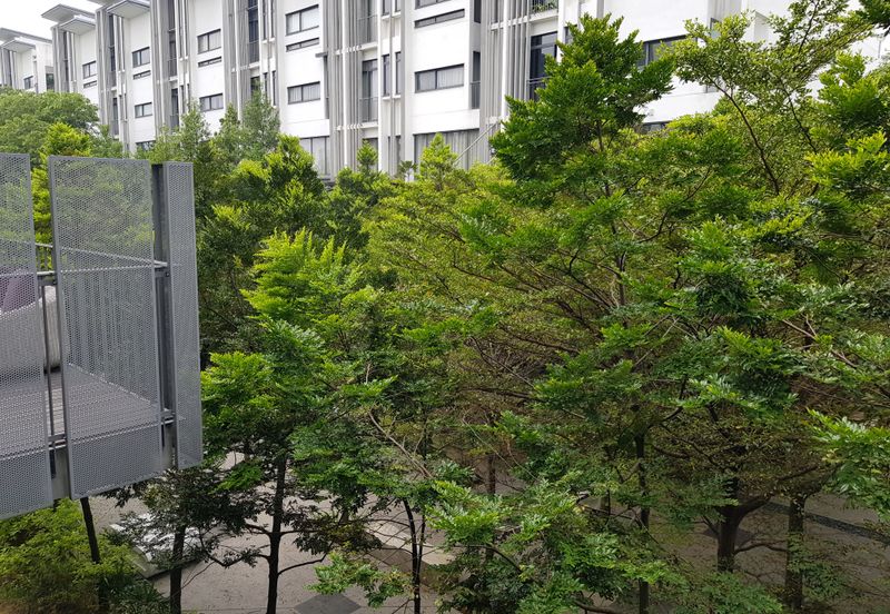 The Mansions @ Parkcity Heights