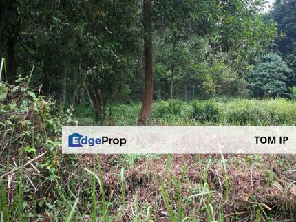 Bungalow Land for Sale at Country Heights Damansara, Kuala Lumpur, Country Heights Damansara