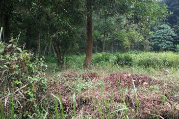 Bungalow Land for Sale at Country Heights Damansara