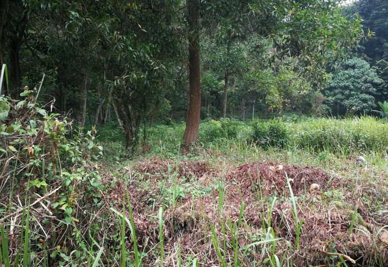 Bungalow Land for Sale at Country Heights Damansara