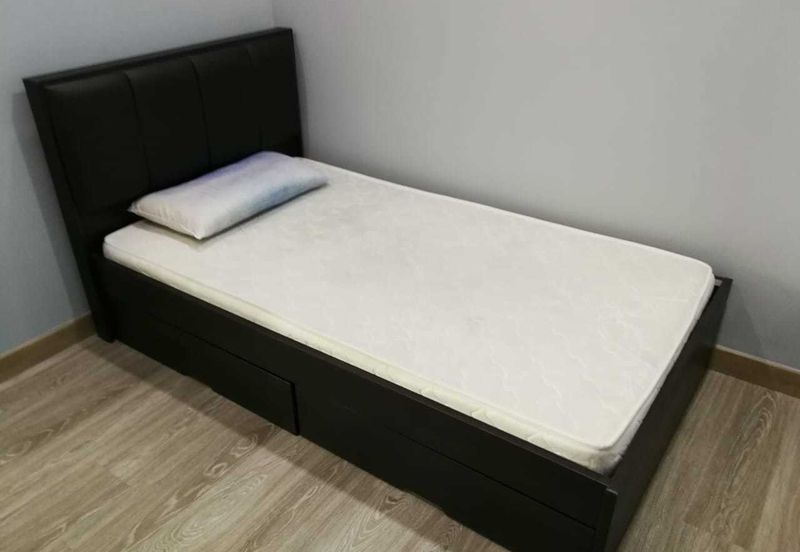 Scenaria (Laman Scenaria Kiara)