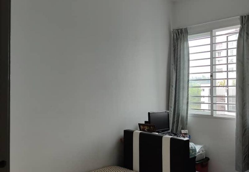 Scenaria (Laman Scenaria Kiara)