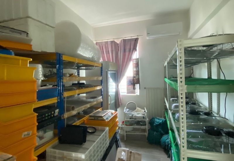 Scenaria (Laman Scenaria Kiara)