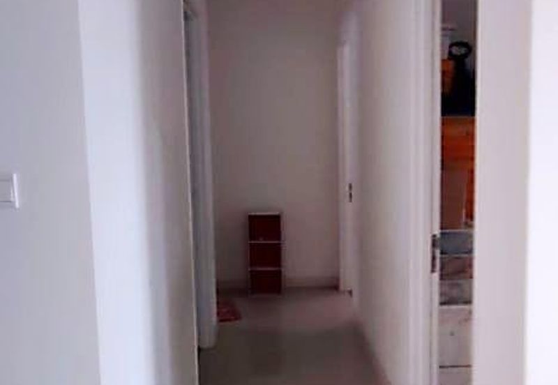 Scenaria (Laman Scenaria Kiara)