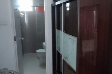 Scenaria (Laman Scenaria Kiara)