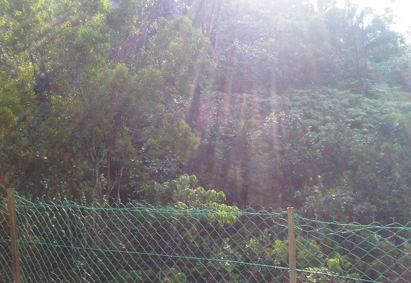 Damansara Heights (Bukit Damansara)