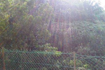 Damansara Heights (Bukit Damansara)