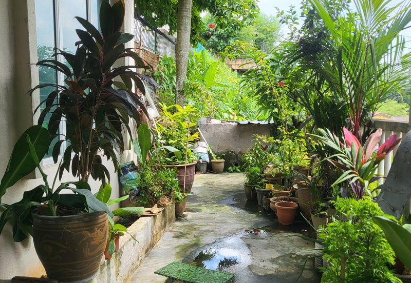 TAMAN UNITED 2STRY BUNGALOW FOR SALE