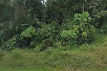 Taman Perindustrian Teknologi Rawang