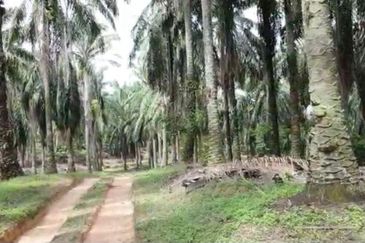 Bandar Puncak Alam , ijok , econsave puncak alam ,