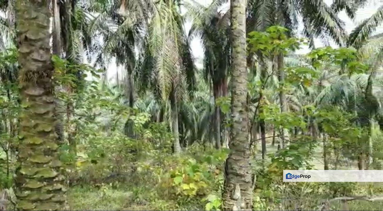 Bandar Puncak Alam , ijok , econsave puncak alam ,, Selangor, Bandar Puncak Alam