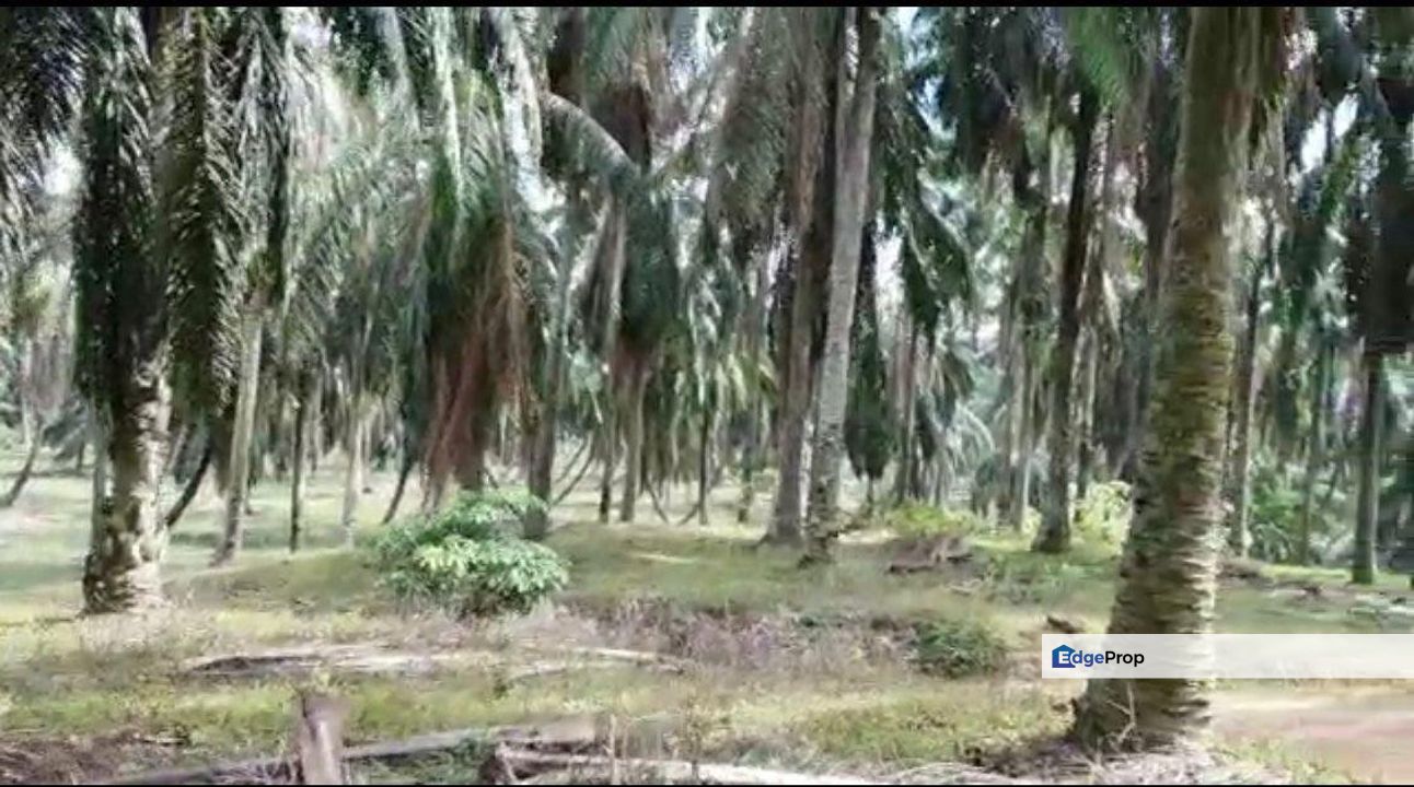 Bandar Puncak Alam , ijok , econsave puncak alam ,, Selangor, Bandar Puncak Alam