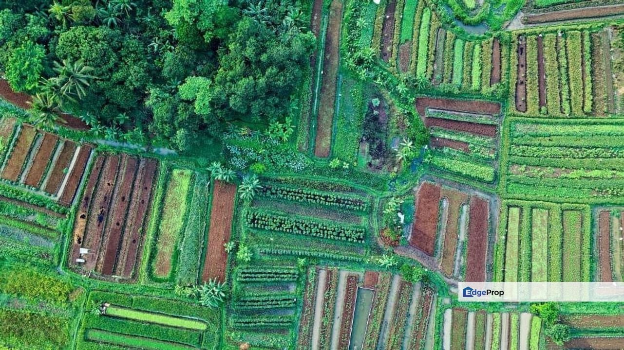 Bukit Cherakah Agriculture Land, Selangor, Bandar Puncak Alam