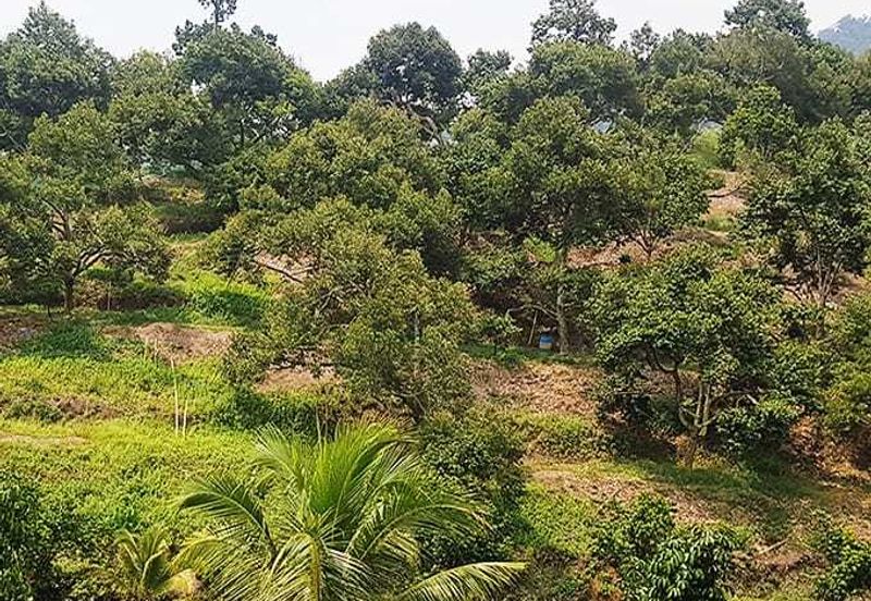 Bukit Beruntung Industrial Park