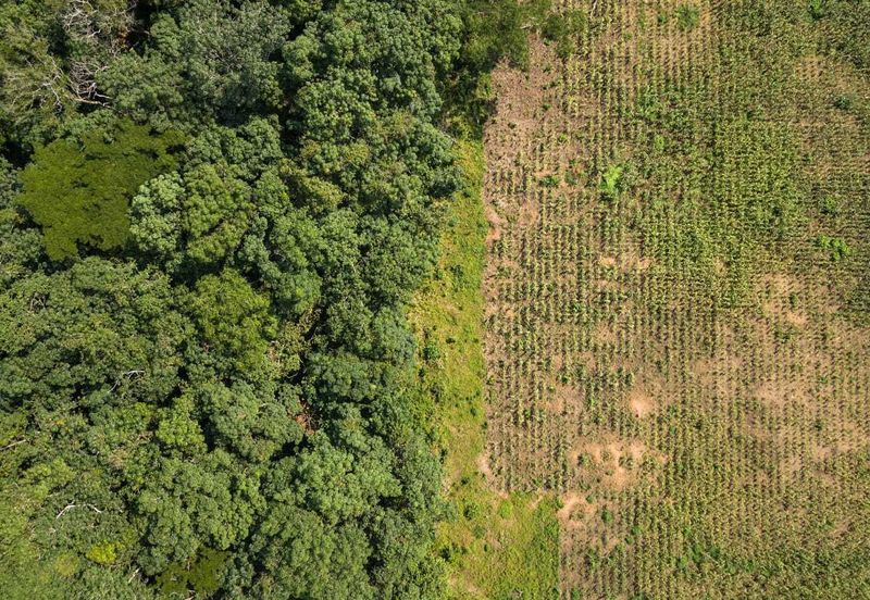 Bukit Beruntung Industrial Park