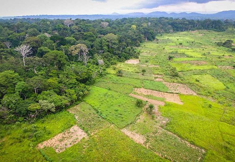 Jalan Kampung Bukit Jeram