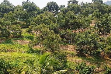 Jalan Kampung Bukit Jeram