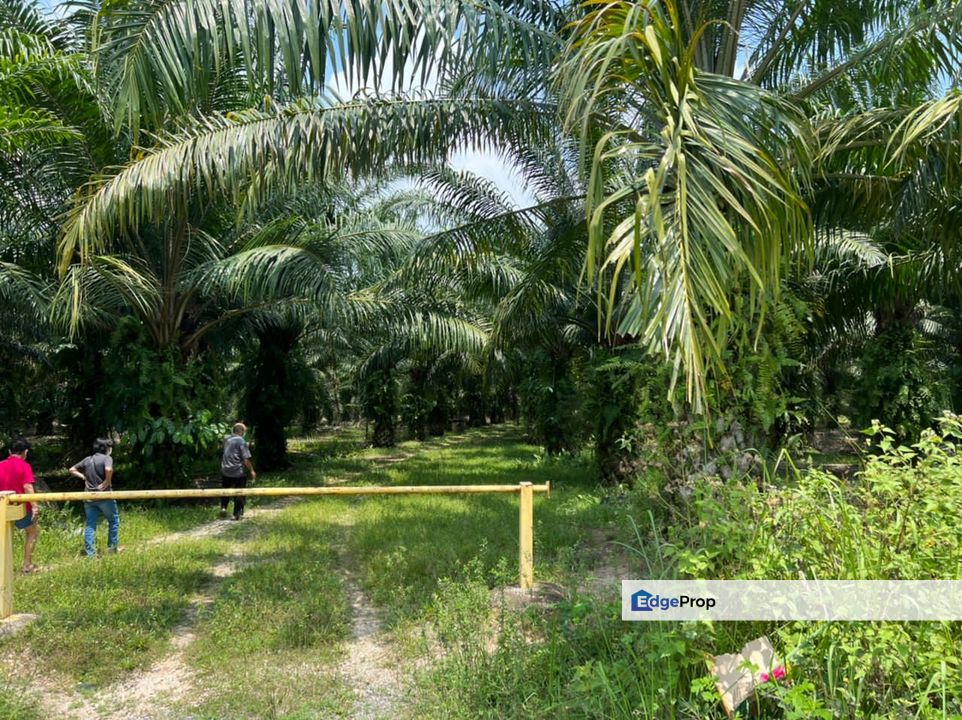 Dengkil Development Agriculture Land For Sale, Selangor, Sepang