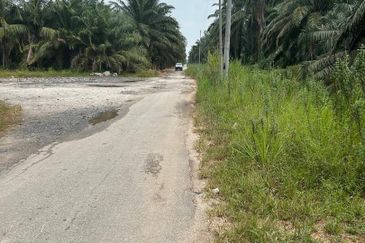 Pekan Simpang Tiga Ijok @ Kuala Selangor Agriculture land