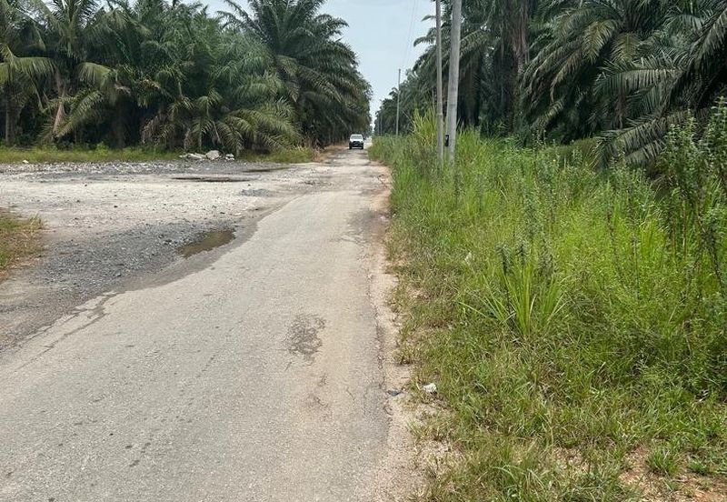Pekan Simpang Tiga Ijok @ Kuala Selangor Agriculture land