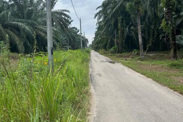 Pekan Simpang Tiga Ijok @ Kuala Selangor Agriculture land