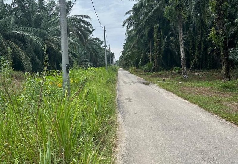 Pekan Simpang Tiga Ijok @ Kuala Selangor Agriculture land