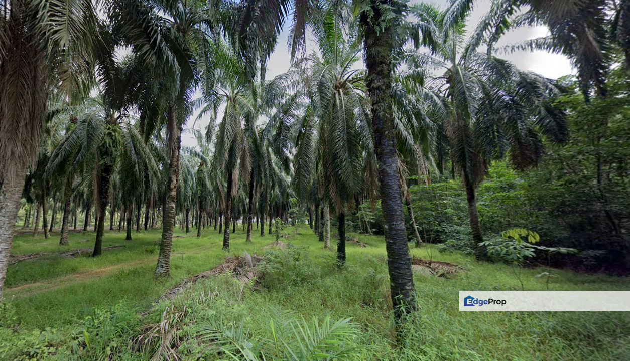 Kuala Selangor @ Bestari Jaya, Industrial Land, 2 piece land side by side, Selangor, Kuala Selangor