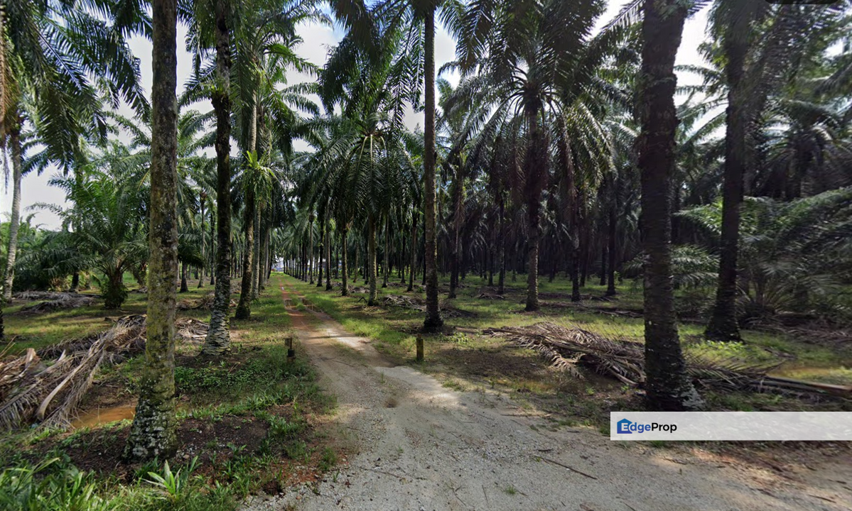 Kuala Selangor @ Bestari Jaya, Industrial Land, 2 piece land side by side, Selangor, Kuala Selangor