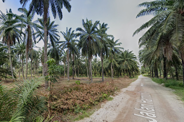 Kuala Selangor @ Bestari Jaya, Industrial Land, 2 piece land side by side