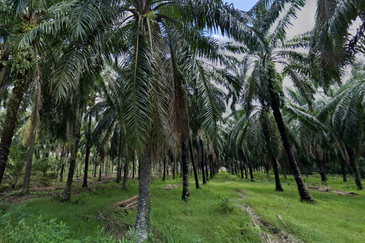 Kuala Selangor @ Bestari Jaya, Industrial Land, 2 piece land side by side