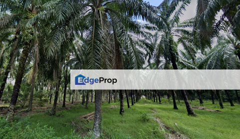Kuala Selangor @ Bestari Jaya, Industrial Land, 2 piece land side by side, Selangor, Kuala Selangor