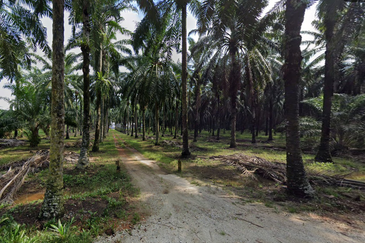 Kuala Selangor @ Bestari Jaya, Industrial Land, 2 piece land side by side