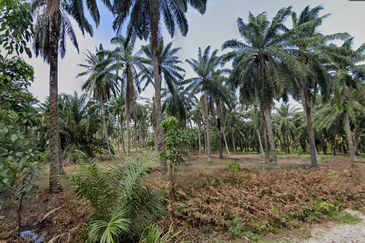 Kuala Selangor @ Bestari Jaya, Industrial Land, 2 piece land side by side