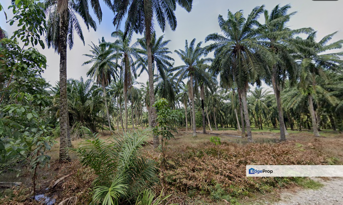 Kuala Selangor @ Bestari Jaya, Industrial Land, 2 piece land side by side, Selangor, Kuala Selangor