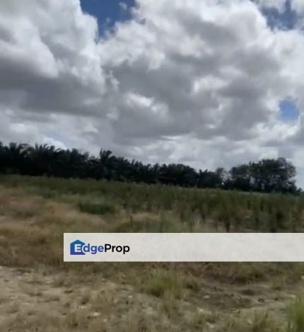 Seelong Senai agricultural land for sale , Johor, Senai