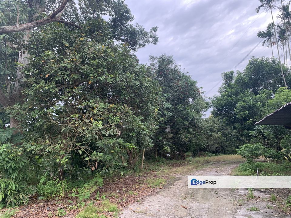 Sungai Tiram agricultural land for sale , Johor, Ulu Tiram