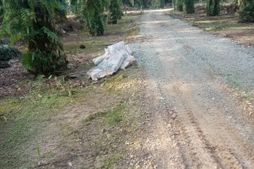 Pekak Nanas land for sale 
