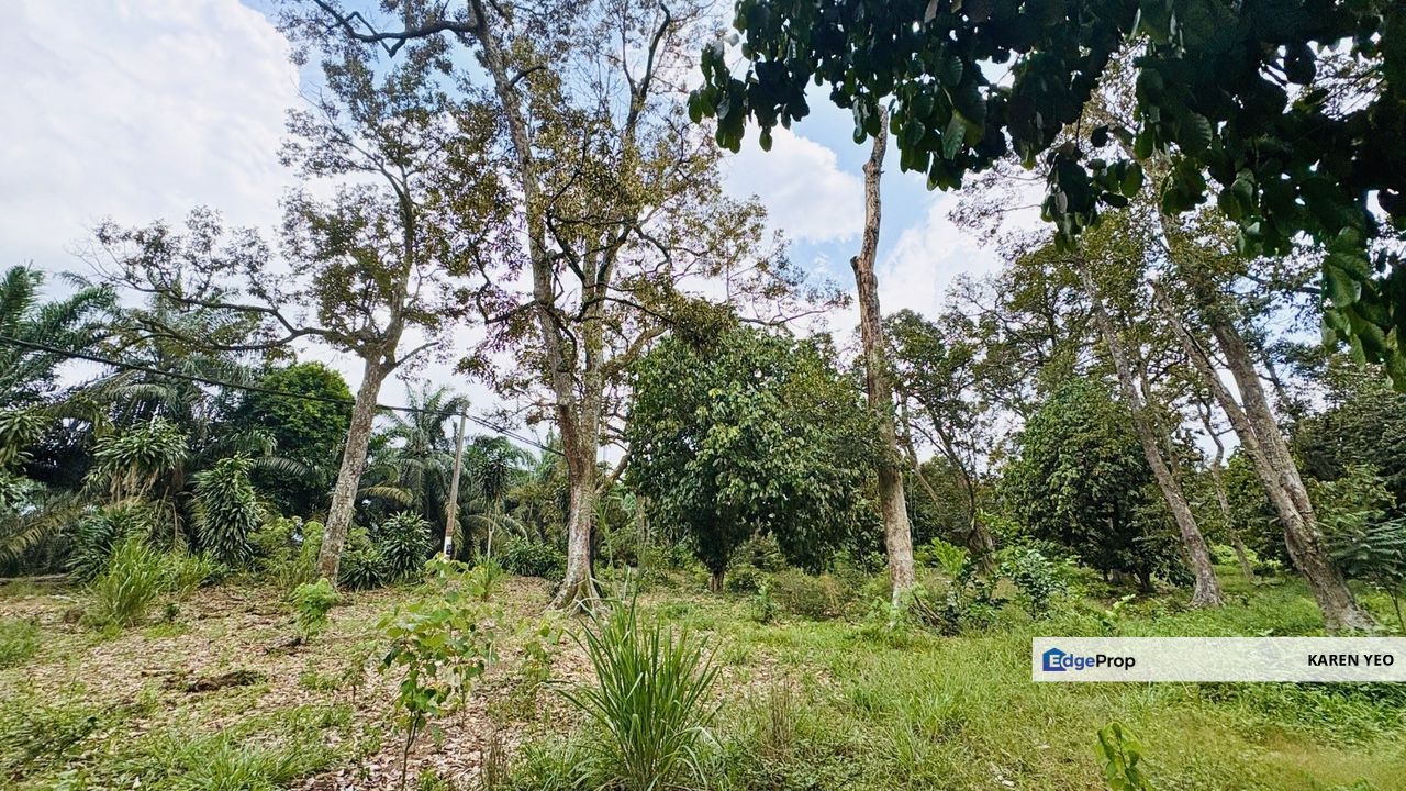 Machap Simpang Renggam Johor Old Durian Farm 5.92 Acres For Sale , Johor, Simpang Renggam