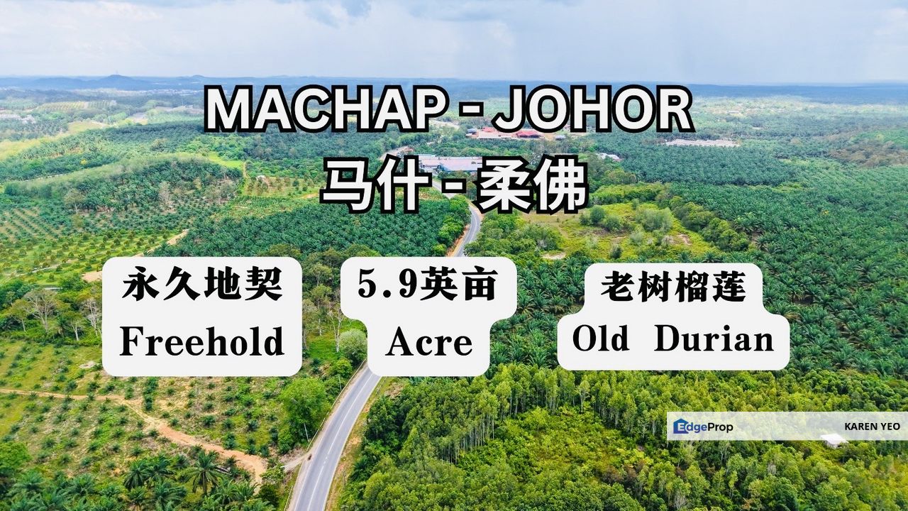 Machap Simpang Renggam Johor Old Durian Farm 5.92 Acres For Sale , Johor, Simpang Renggam