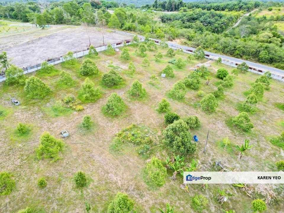 Jalan Sungai Tiram Ulu Tiram Johor Sungai Redan 2 Acres Durian Farm For Sale , Johor, Ulu Tiram