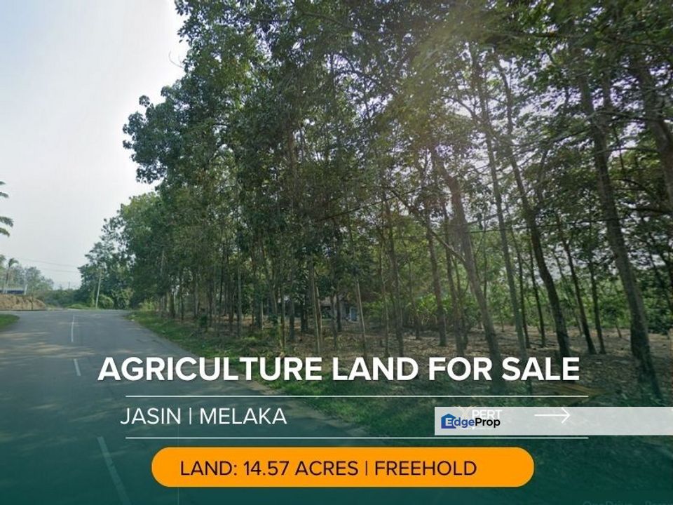 Jasin Melaka Development Land Freehold, Melaka, Jasin
