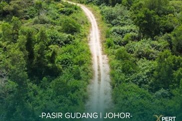 Senai Industrial Park