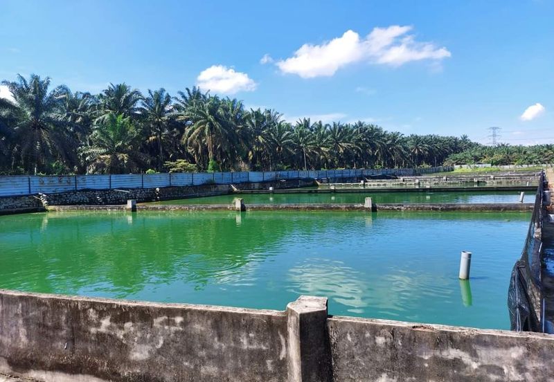 Taman Desa Cemerlang