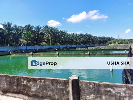 Taman Desa Cemerlang, Desa Cemerlang - Fish Ponds Land For Sale, Johor, Ulu Tiram