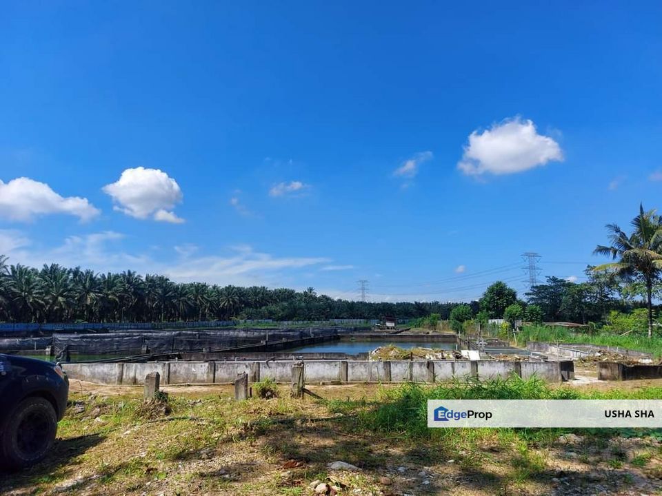 Taman Desa Cemerlang, Desa Cemerlang - Fish Ponds Land For Sale, Johor, Ulu Tiram
