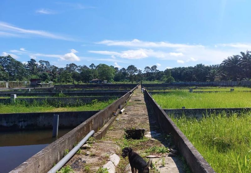 Taman Desa Cemerlang